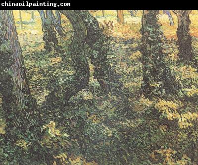 Vincent Van Gogh Tree Trunks with Ivy (nn04)