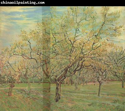 Vincent Van Gogh The White Orchard (nn04)