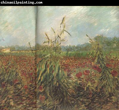 Vincent Van Gogh Green Ears of Wheat (nn04)