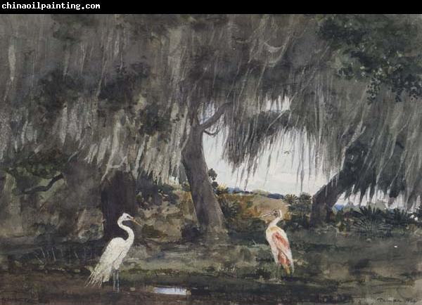 Winslow Homer At Tampa (mk44)