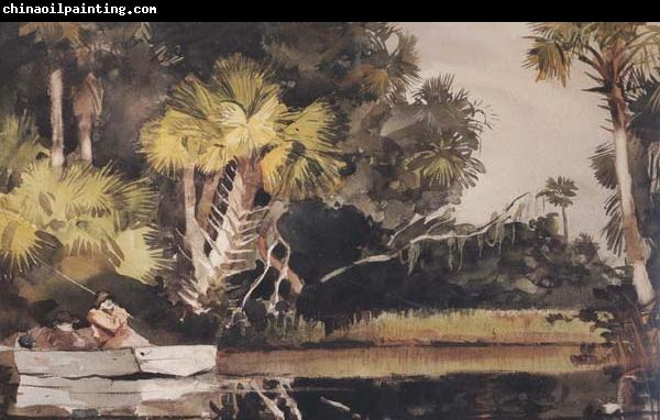 Winslow Homer Homosassa Jungle (mk44)