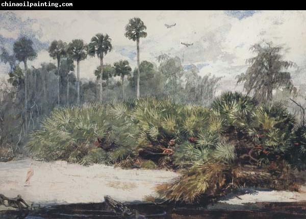 Winslow Homer In a Florida Jungle (mk44)