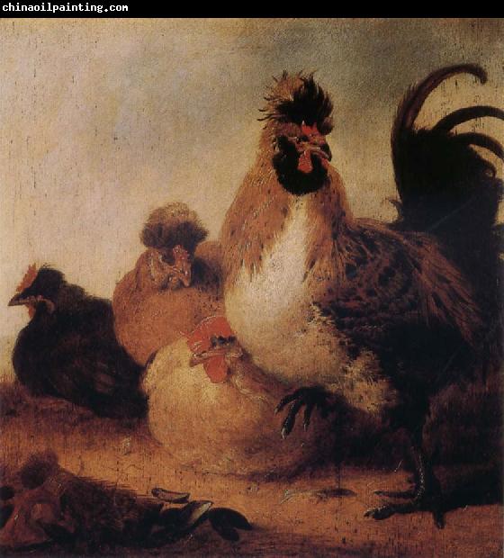 Aelbert Cuyp Rooster and Hens