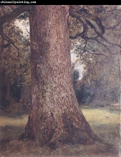 John Constable Study of the trunk of an elm tree