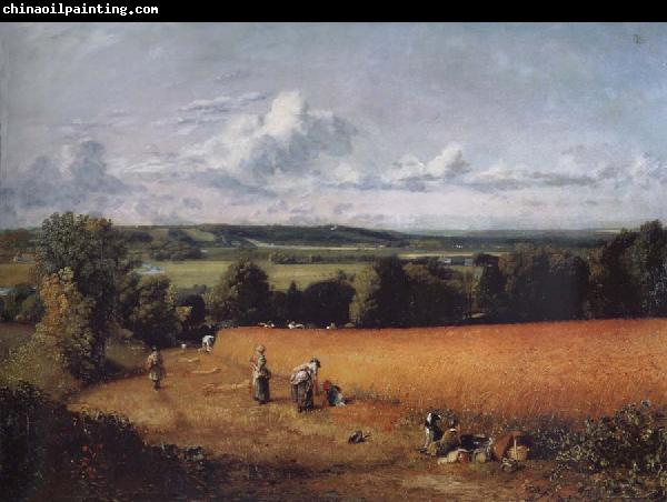 John Constable The wheatfield