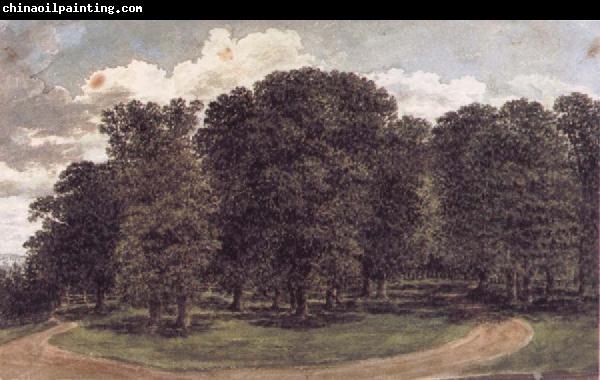 John glover The copse