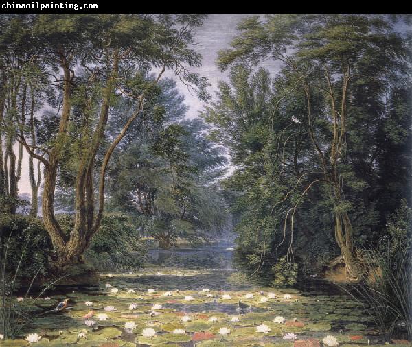 William Turner of Oxford Cherwell Water Lilies,